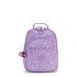 Violette